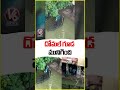 Floodwaters Submerge Domalguda After Downpour | V6 News  - 01:30 min - News - Video