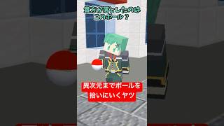 街のどこだろうと落ちているボールを拾ってくるヤツ【ポケモンZA】【そらねこ】【コント】【マインクラフト】【マイクラアニメ】