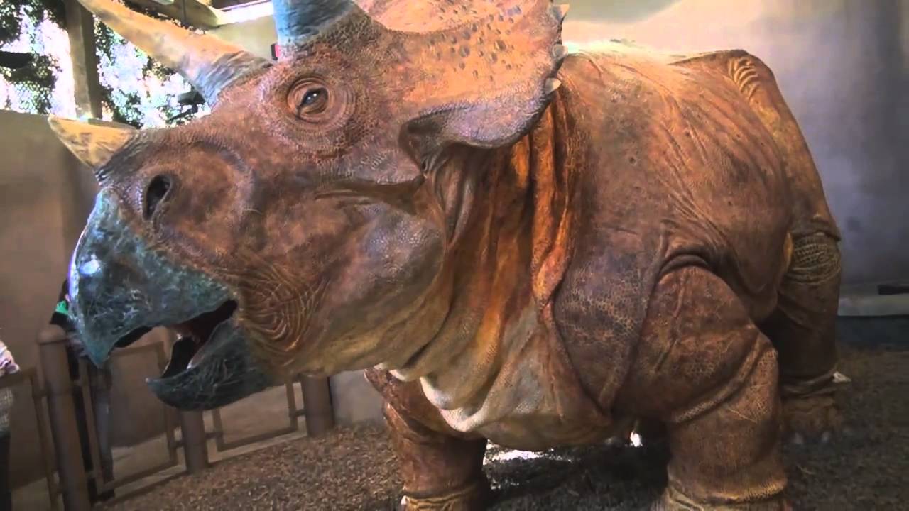 new triceratops discovery