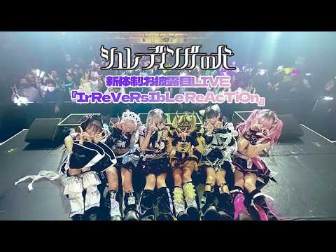 【密着】シュレーディンガーの犬 新體制東名阪ツアー