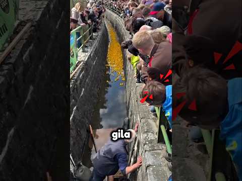 Taruhan Jutaan Dollar di Atas Sungai #shorts