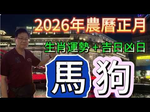 【古柏論命每月運勢+吉日凶日】2026年農曆正月(陽曆2/17 ~3/18)生肖運勢分享 -  馬 + 狗                   #八字  #運勢  #沈香  #煙供粉  #末那沈香