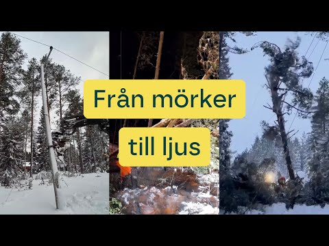 Från mörker till ljus