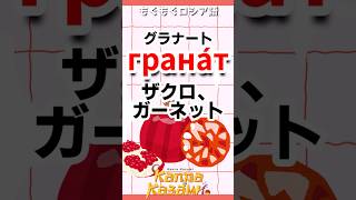 ザクロってロシア語で？ням ням русский　#shorts #ロシア語