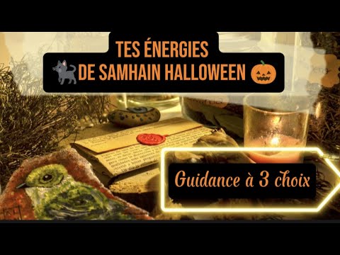 🐈⬛ TES ÉNERGIES DE SAMHAIN HALLOWEEN 🎃 GUIDANCE À 3 CHOIX