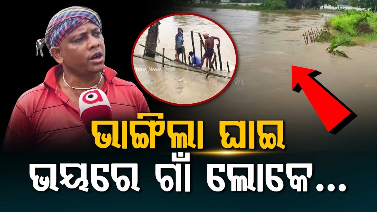 Salandi & Nalia Rivers Breach Embankments: Villages & Farmlands Inundated In Bhadrak | Argus News