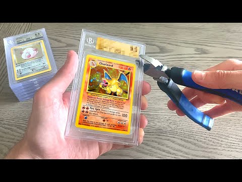 Pokemon TCG News