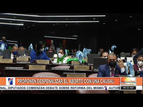 Proponen despenalizar el aborto con una causal