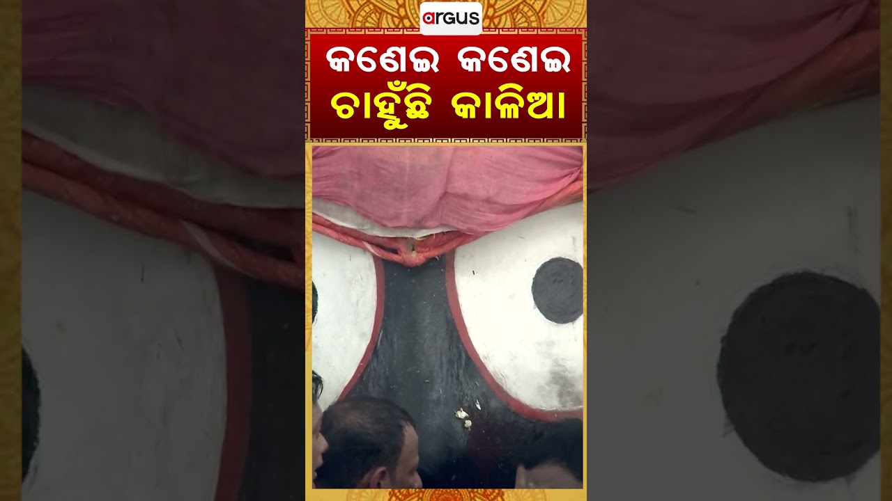 କଣେଇ କଣେଇ ଚାହୁଁଛି କାଳିଆ | Argus Reels | Lord Jagannath | Snana Yatra 2026 | Pahandi Bije