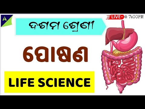 Nutrition (ପୋଷଣ) 10th class life science chapter-1 in odia || | Nutrition for class 10th odia |