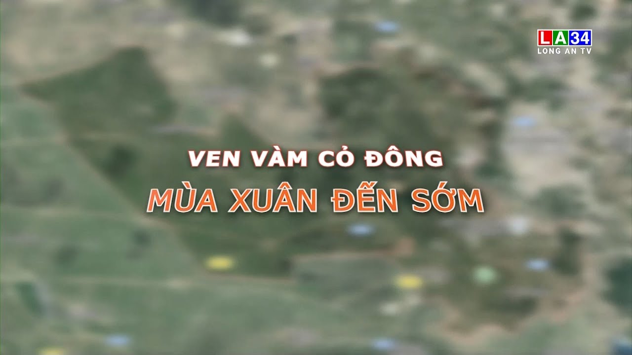 Phóng sự: Ven sông Vàm Cỏ Đông, mùa xuân đến sớm