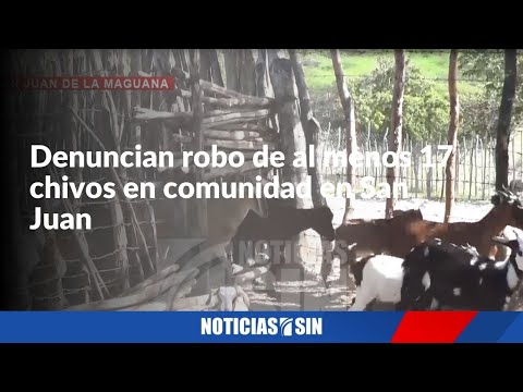 Denuncian robo de al menos 17 chivos en San Juan