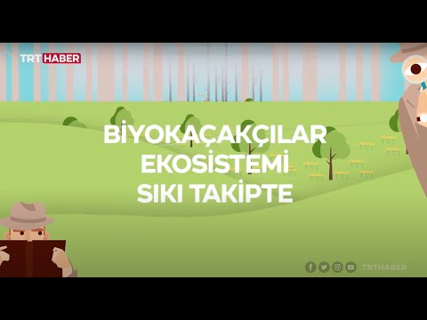 Ekolojik yıkım: Biyokaçakçılık