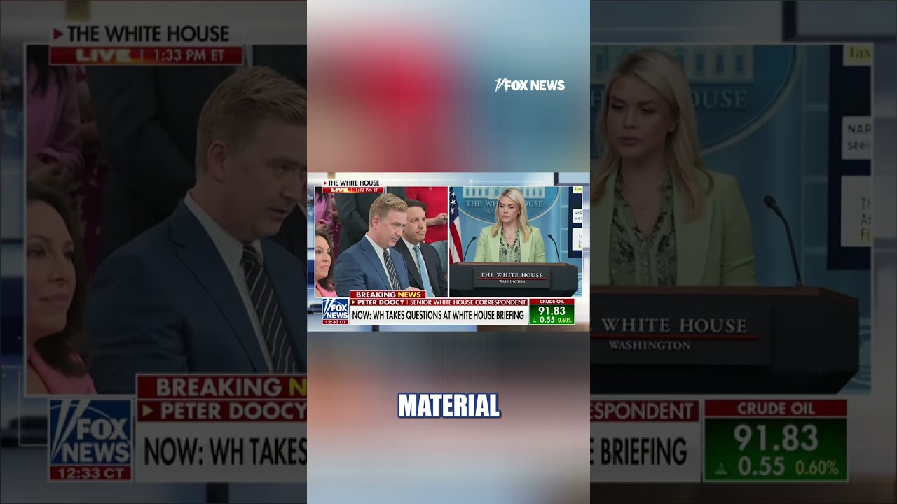 WATCH: Peter Doocy asks Karoline Leavitt about missing American scientists #shorts #news #foxnews