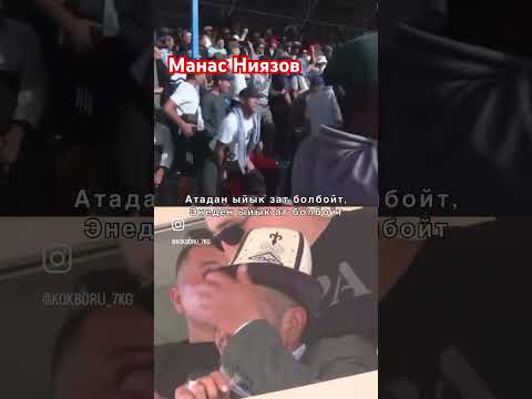 Манас Ниязов N1 #рекомендации #horse #рек