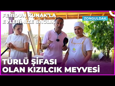 Bin Bir Türlü Güzellikleriyle Kızılcık | Dr. Feridun Kunak’la Evlerinize Sağlık