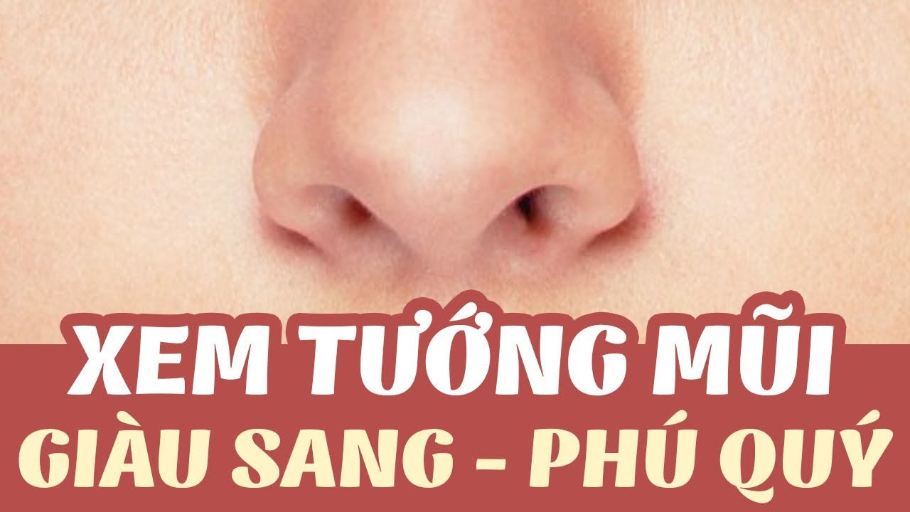 tướng mũi, phú quý, phong thủy