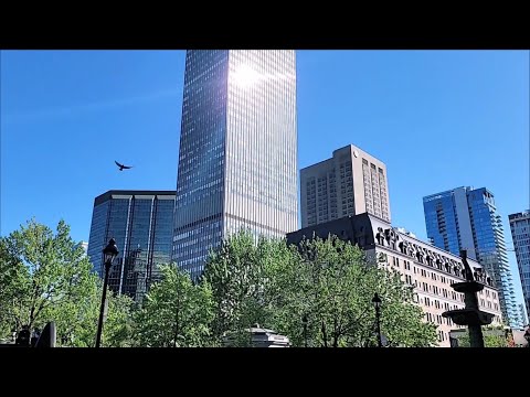 X-Star - Old Port And Center City Of Montreal Project (The 112 Stars)
