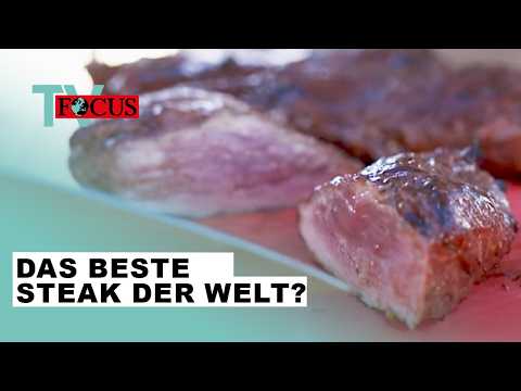 Wer grillt das beste Steak der Welt? Die Grill-WM in Stuttgart | Focus TV Reportage