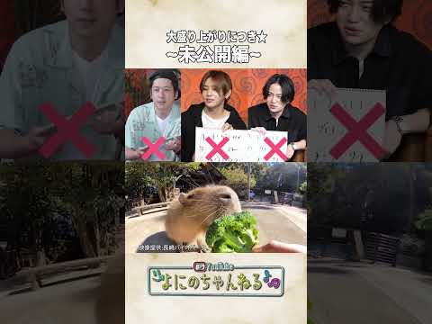 よにのちゃんねる【音を聴き分けろ🎵】本物はどっち？？？