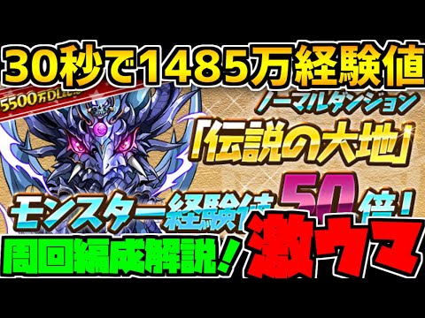 【8/28まで】天元の黒龍の経験値効率がヤバすぎる！周回編成編成紹介！【パズドラ】