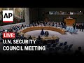 LIVE: U.N. Security Council meeting on the Middle East