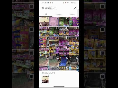 chhath Puja status #chhathpuja #chhath #chhathstatus #shorts #ytshorts #trending