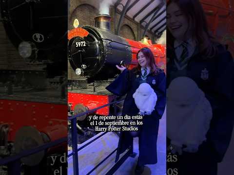 Y de repente un día estás el 1 de septiembre de vuelta en casa 🚂#backtohogwarts #wbtourlondon