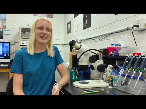 Play Video about Path to Science Careers - Lauren Kunselman