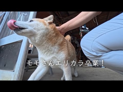 2025年8月4日(月) エリカラ卒業パレード サムネイル
