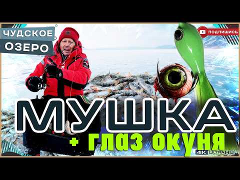 Мушка + глаз окуня = спасают от бесклёвья на Чудском озере