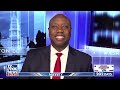 Tim Scott: Mayorkas is guilty of the greatest invasion in American history  - 08:00 min - News - Video
