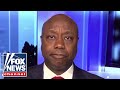 Tim Scott: Mayorkas is guilty of the greatest invasion in American history