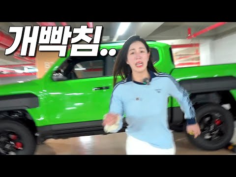 여자친구 몰래 타스만을 상상초월 컬러로 변신시켜봤습니다!!