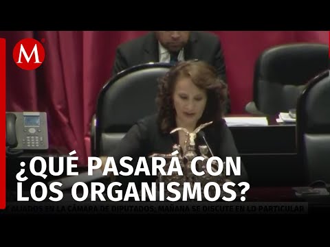 Morena y aliados aprueban eliminar siete organismos autónomos en busca de ahorro y reestructuración