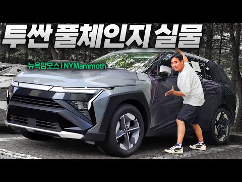 “이게 진짜 투싼 풀체인지 맞아?