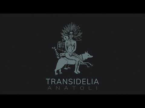 Transidelia - Transidelia - [ ANATOLI 2020 ] Full Album // Official audio