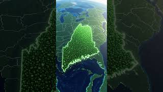 How This Tiny State Holds 10% of America’s Forests (And No One Realized!)  #geoglobetales #usstates