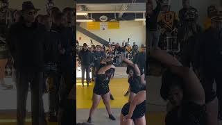 ALABAMA STATE HONEY BEES