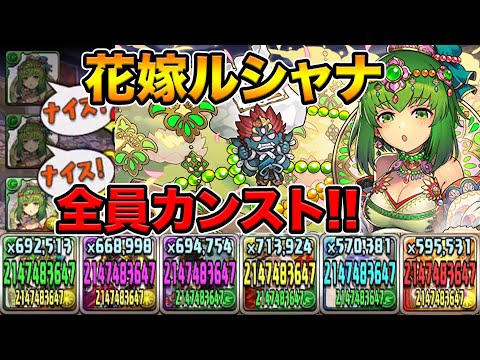 パズル ドラゴンズ Gg アンテナ