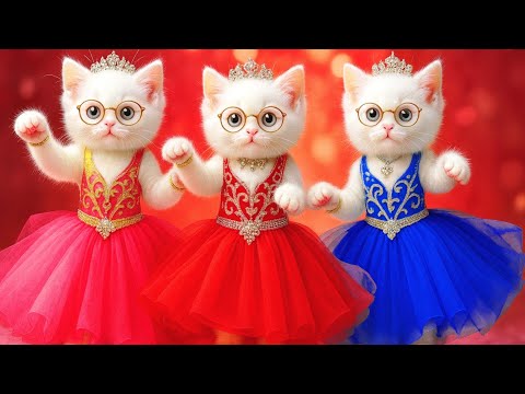 बिल्ली  डांस,💃| Cutest Cat videos funny dance 🤣 💃 Videos for cats #funny #dancingcat #cat #kitten 