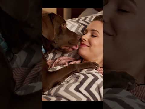 Can’t Be Mad at That Face ❤️ #puppy #goldenretreiver #dog #funny #goldenretreivers