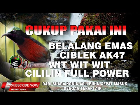 MASTERAN KONIN FULL TEMBAKAN FULL ISIAN JERNIH DENGAN SUARA AIR CEPAT MASUK ! KONIN ISIAN MEWAH !!