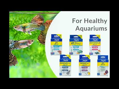 API Test Kits | Test your aquarium water quality We highly recommend testing your aquarium water regularly, to ensure it remains a safe and healthy h