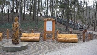 Miniatura video