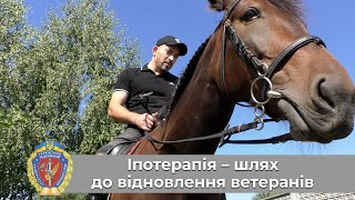 Іпотерапія – шлях до відновлення ветеранів 