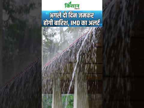 Weather Update: Monsoon जमकर बरस रहा, Delhi, UP, MP, Bihar में  Heavy Rain अलर्ट  । #shorts