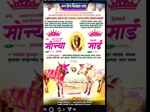 हिंदकेसरी सोन्या आणि हिंदकेसरी साई | फायनल व गुलालाचे मानकरी |#बकासुर #नाद #नाद_एकच_बैलगाडा_शर्यत