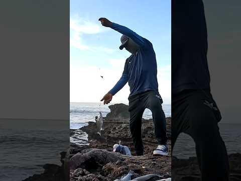 ¡Es una Locura! lanzo el Anzuelo y Emergen Peces al Instante.