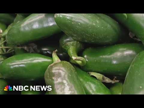 New food items recalled over salmonella outbreak 